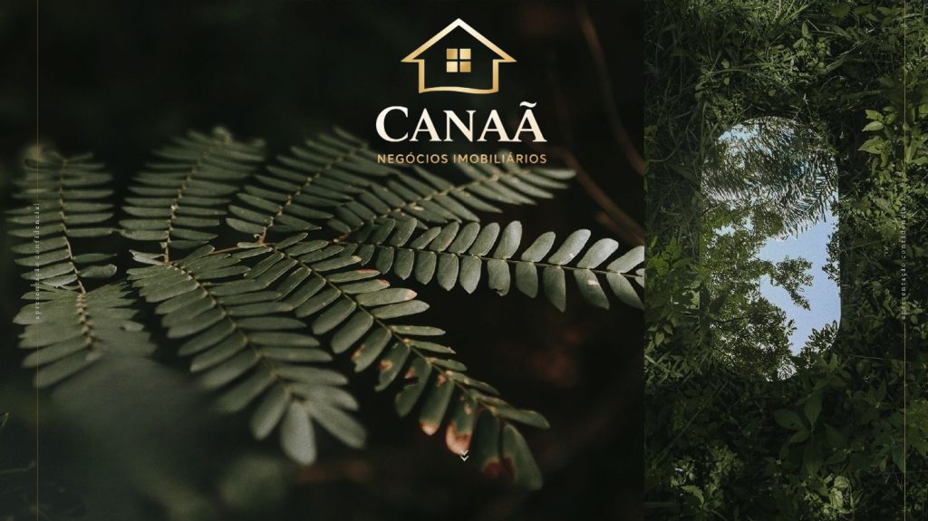 QUINTAS TERRAS VERDES