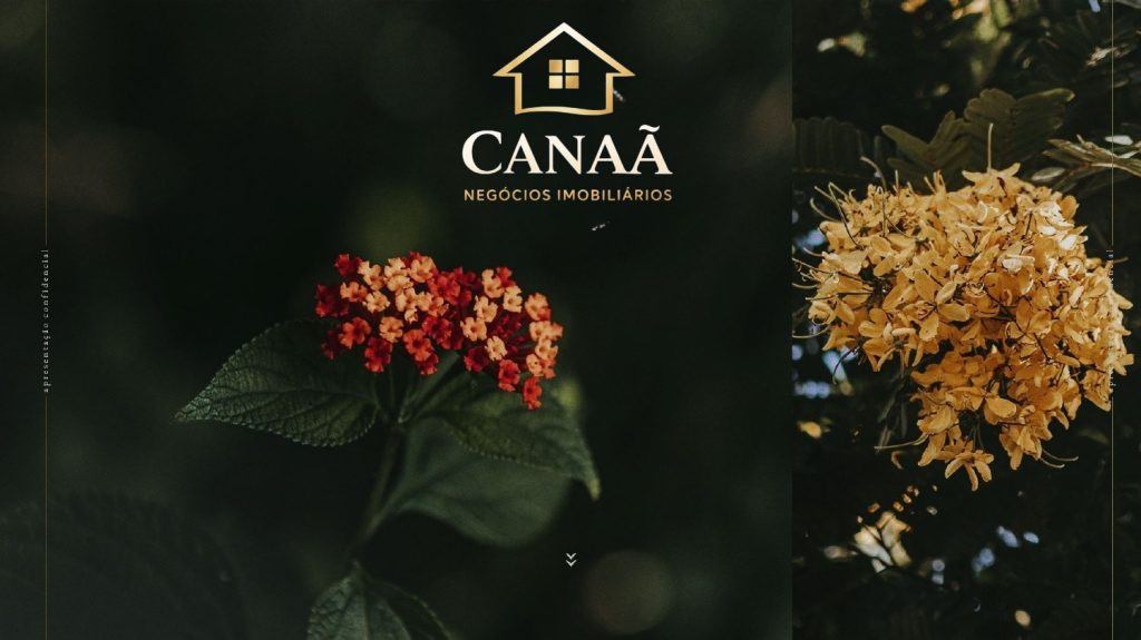 QUINTAS TERRAS VERDES