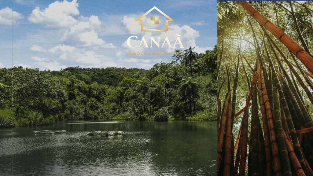 QUINTAS TERRAS VERDES