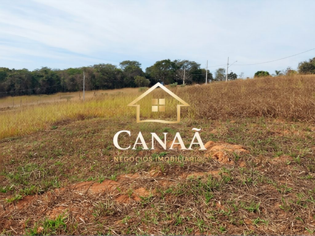 LOTE COMERCIAL BAIRRO GRAN PEROLA