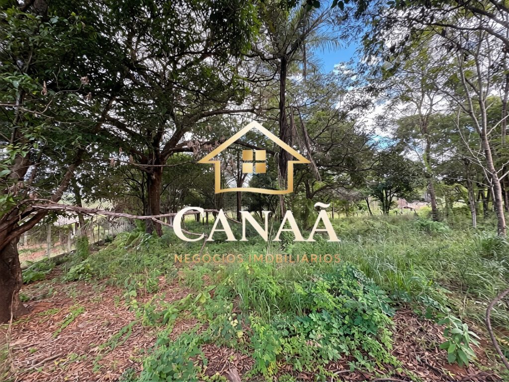 TERRENO COMERCIAL BAIRRO LAPINHA