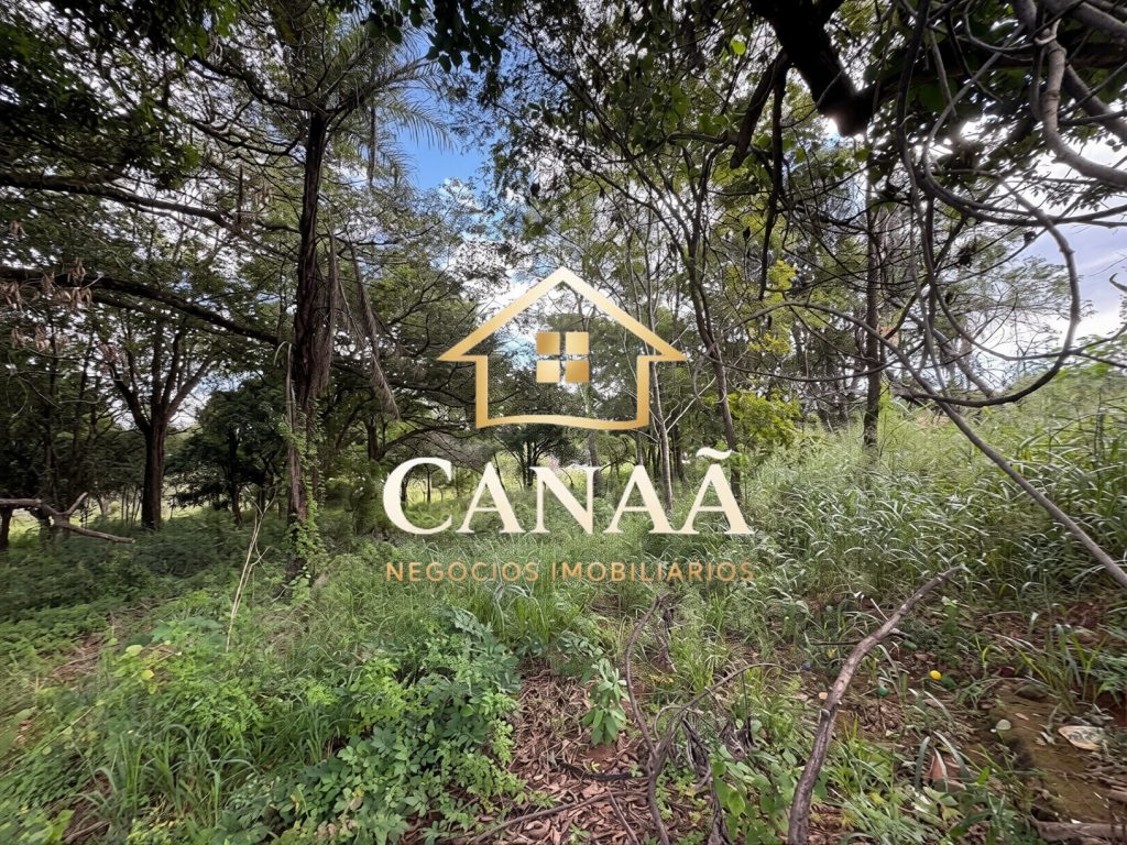 TERRENO COMERCIAL BAIRRO LAPINHA