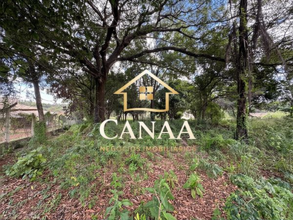 TERRENO COMERCIAL BAIRRO LAPINHA