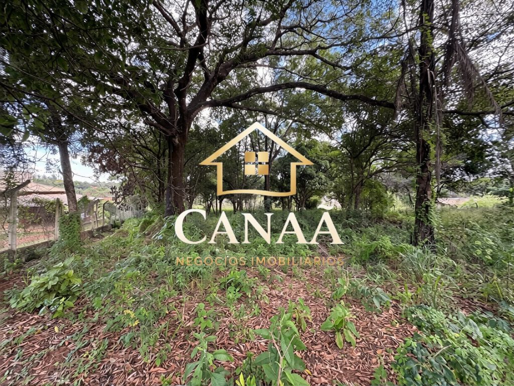 TERRENO COMERCIAL BAIRRO LAPINHA