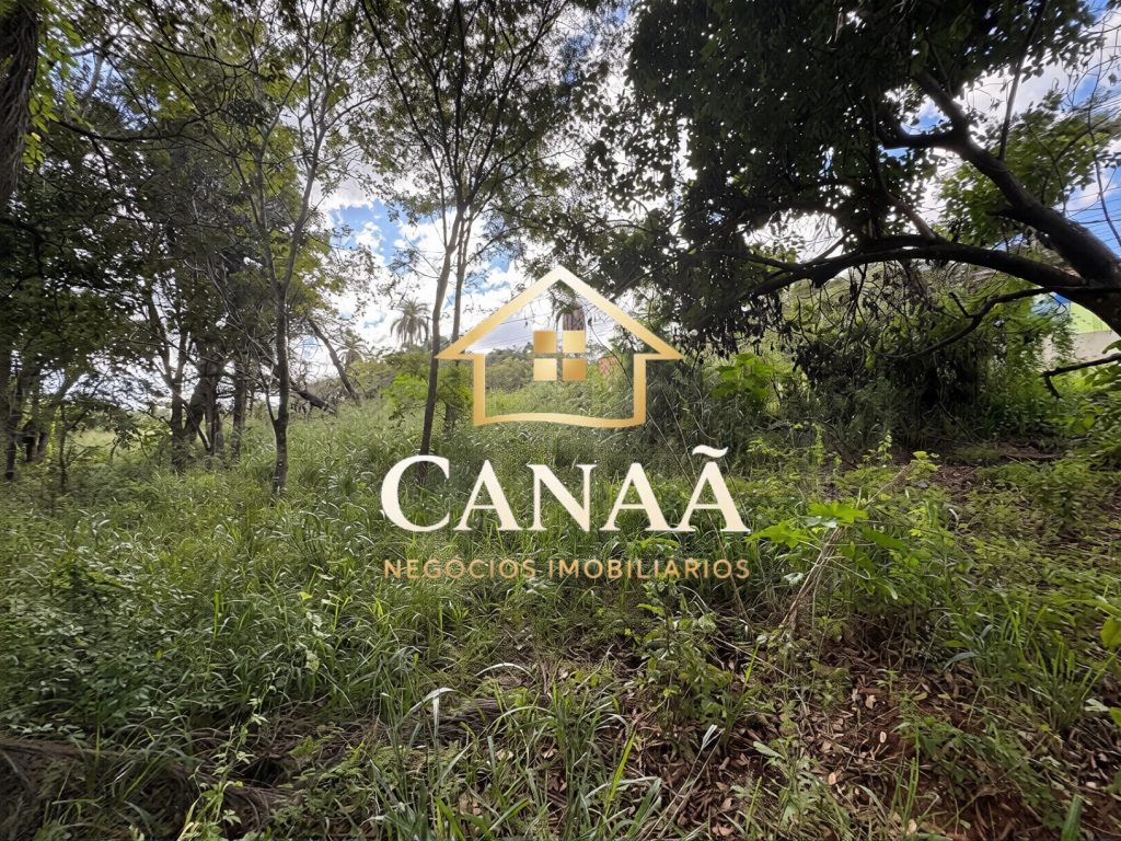 TERRENO COMERCIAL BAIRRO LAPINHA