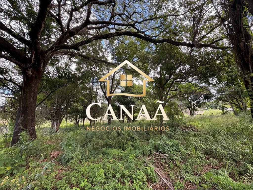 TERRENO COMERCIAL BAIRRO LAPINHA