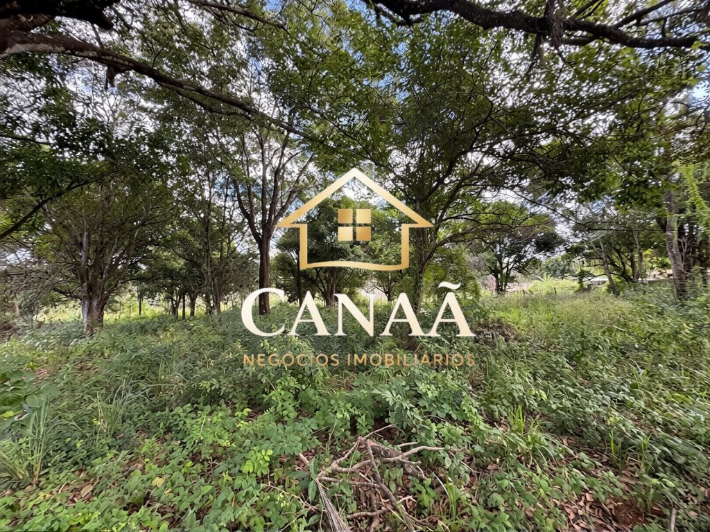 TERRENO COMERCIAL BAIRRO LAPINHA