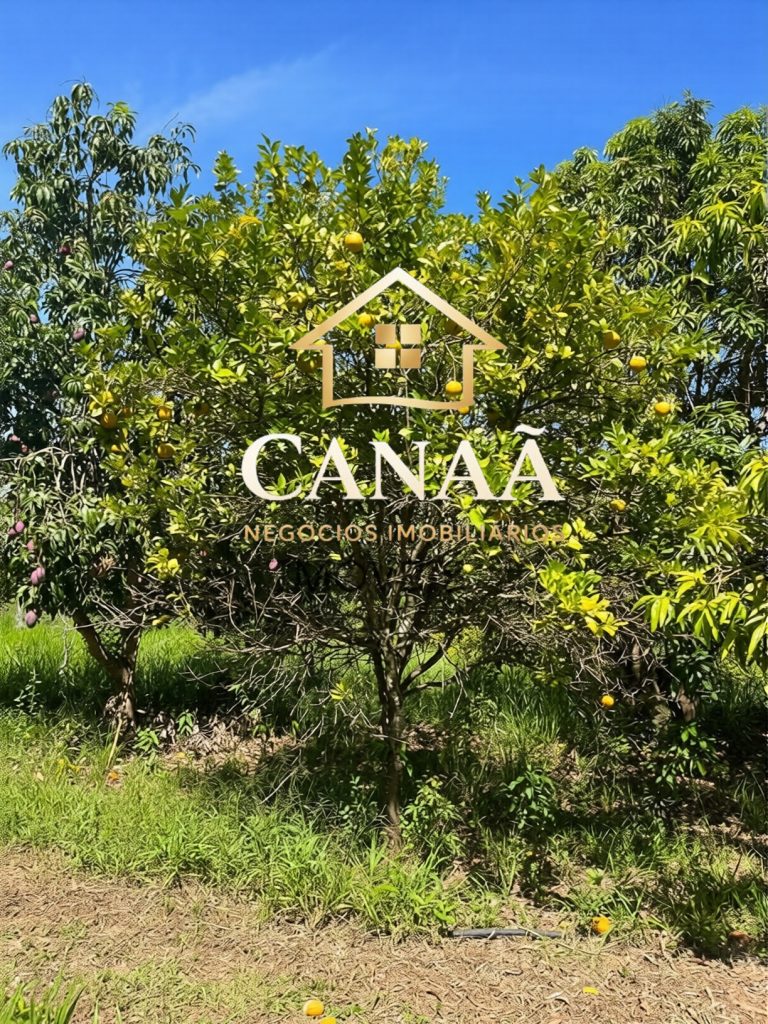 FAZENDA EM JABOTICATUBAS