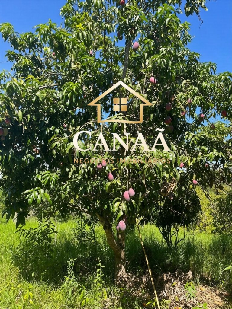 FAZENDA EM JABOTICATUBAS