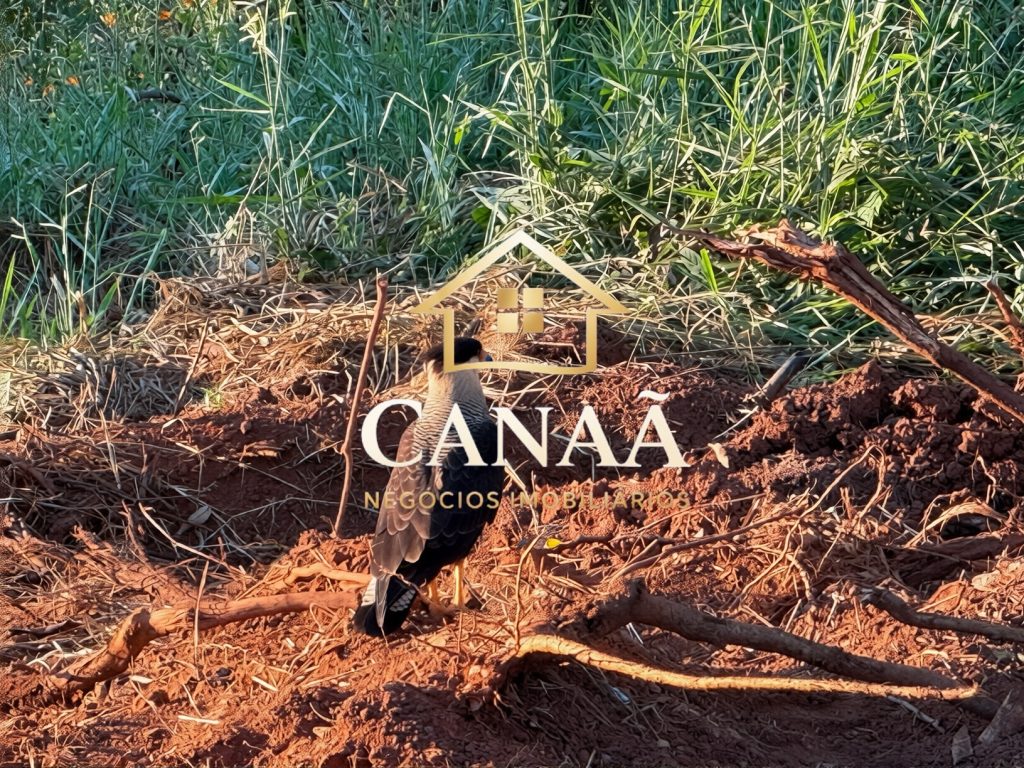 LOTE CONDOMINIO JARDINS DAS ACACIAS