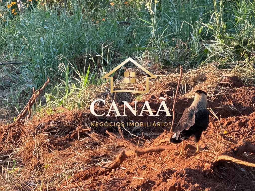 LOTE CONDOMINIO JARDINS DAS ACACIAS