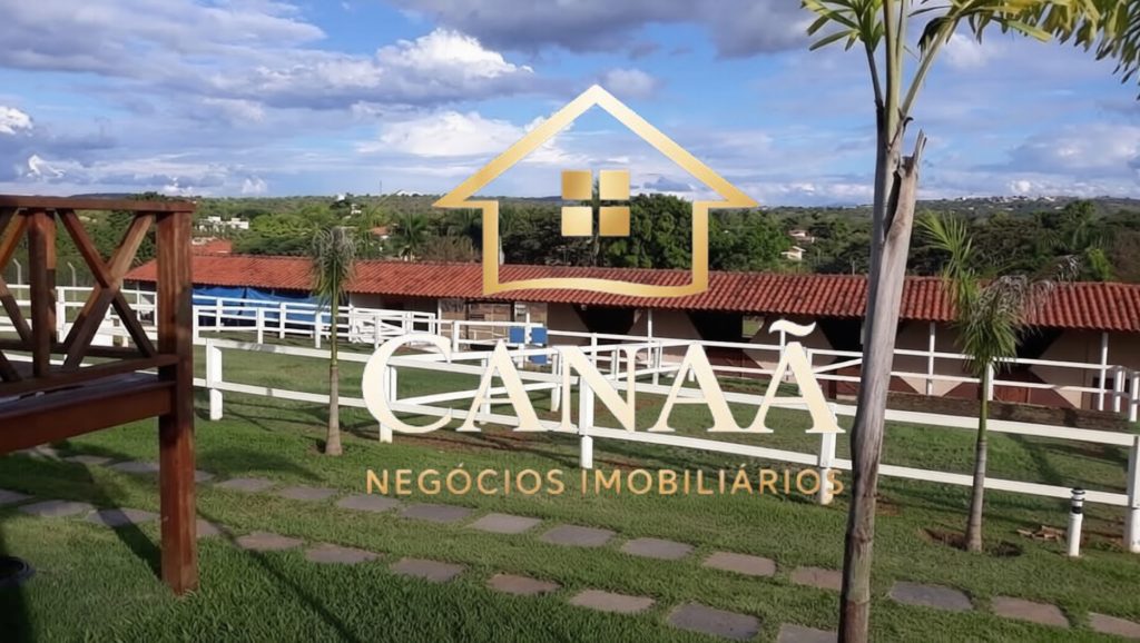 HARAS BAIRRO LAPINHA