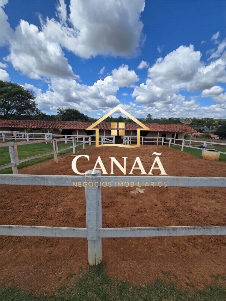 HARAS BAIRRO LAPINHA