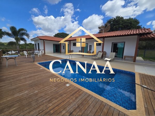 HARAS BAIRRO LAPINHA