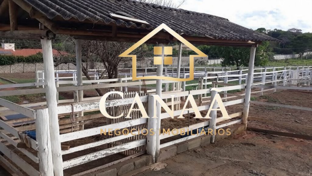 HARAS BAIRRO LAPINHA