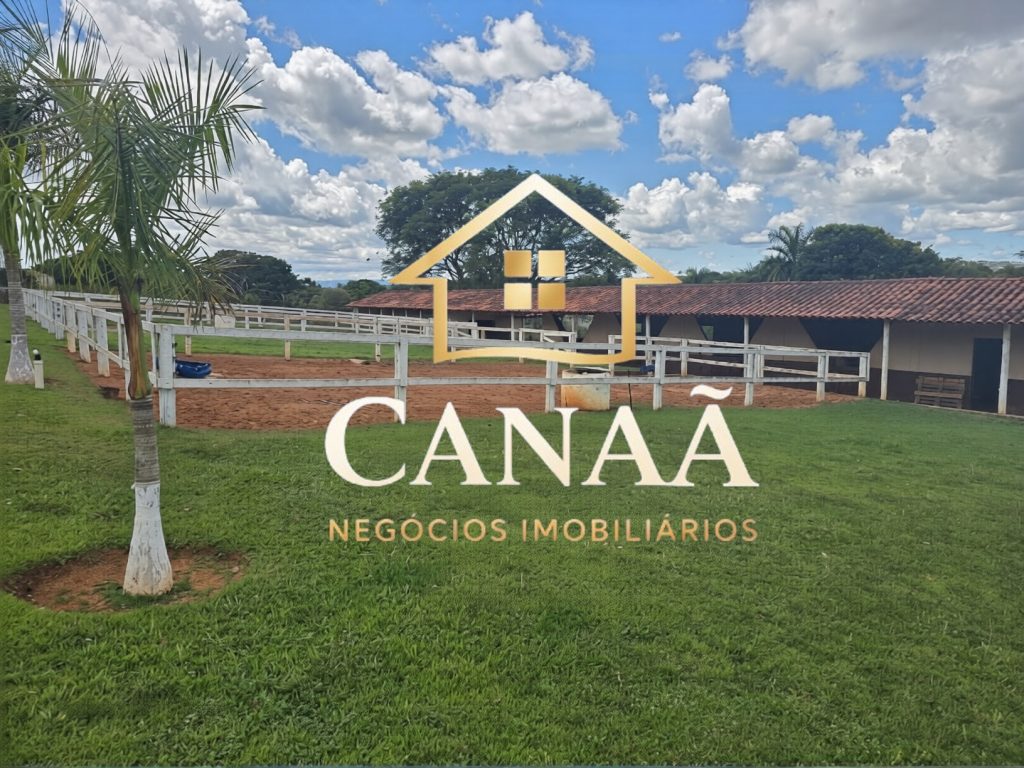 HARAS BAIRRO LAPINHA