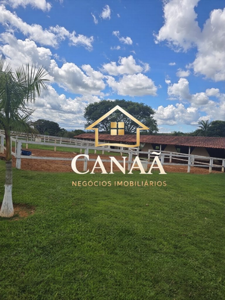 HARAS BAIRRO LAPINHA