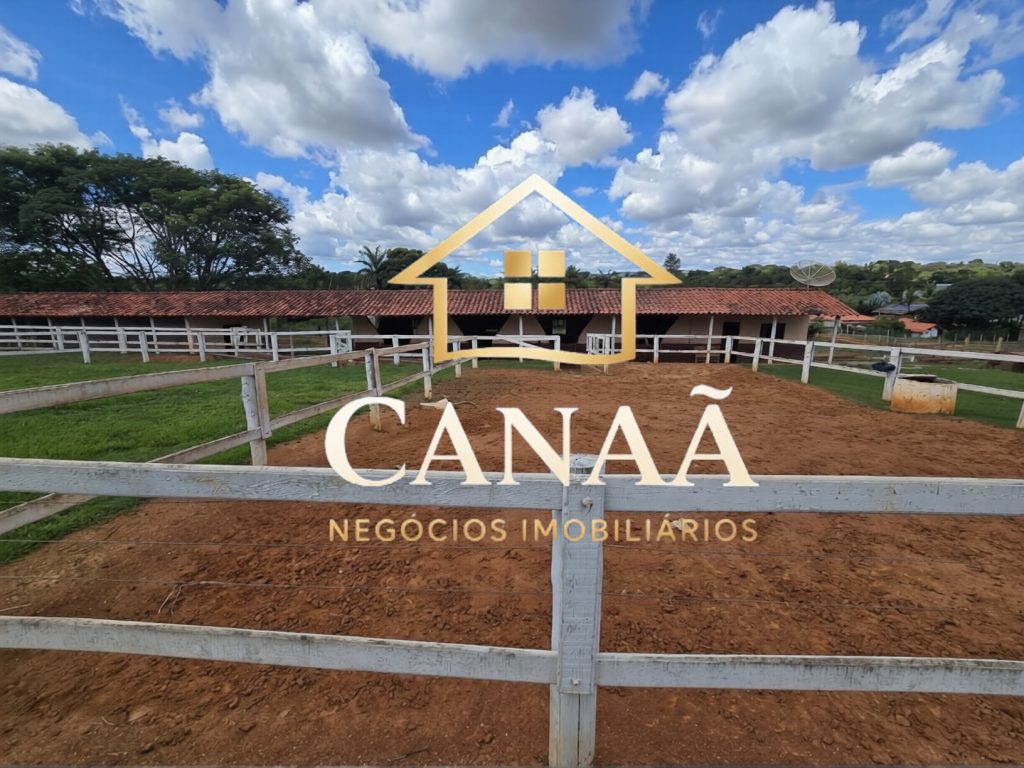 HARAS BAIRRO LAPINHA