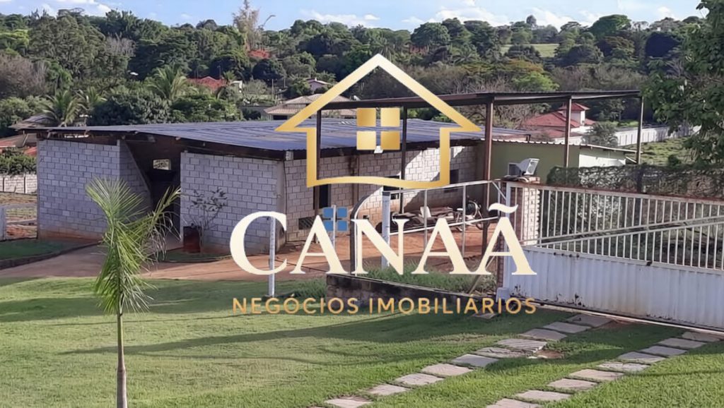 HARAS BAIRRO LAPINHA