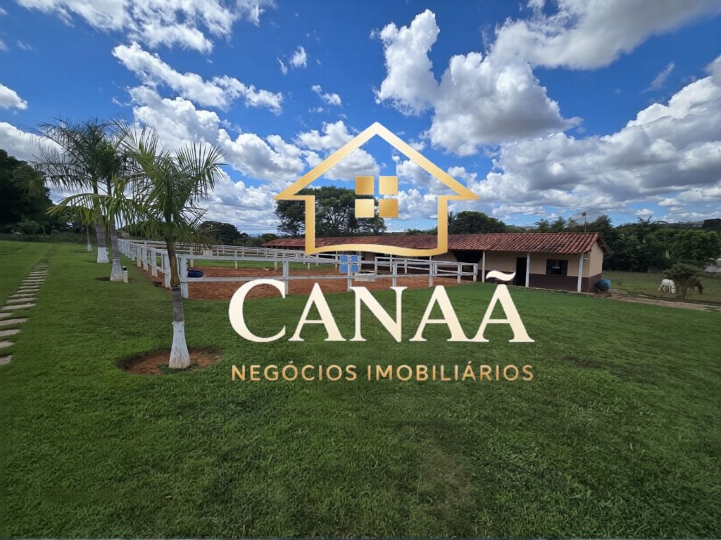 HARAS BAIRRO LAPINHA