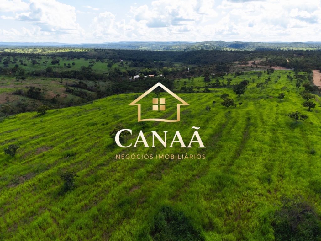 FAZENDA EM JEQUITIBÁ