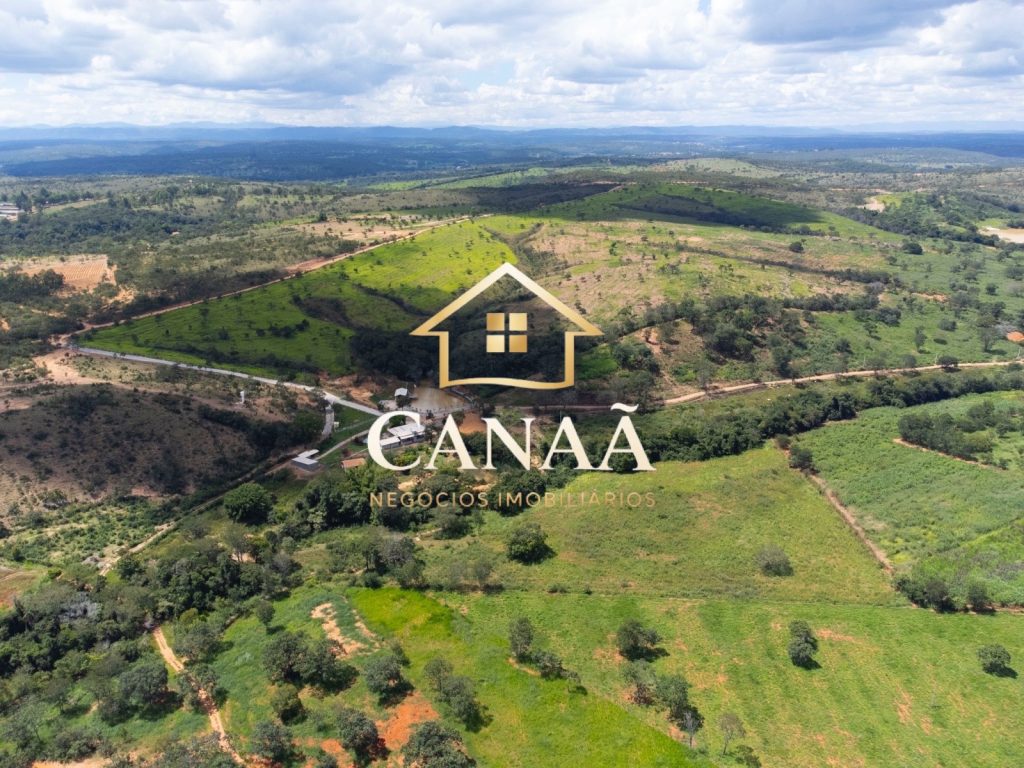 FAZENDA EM JEQUITIBÁ