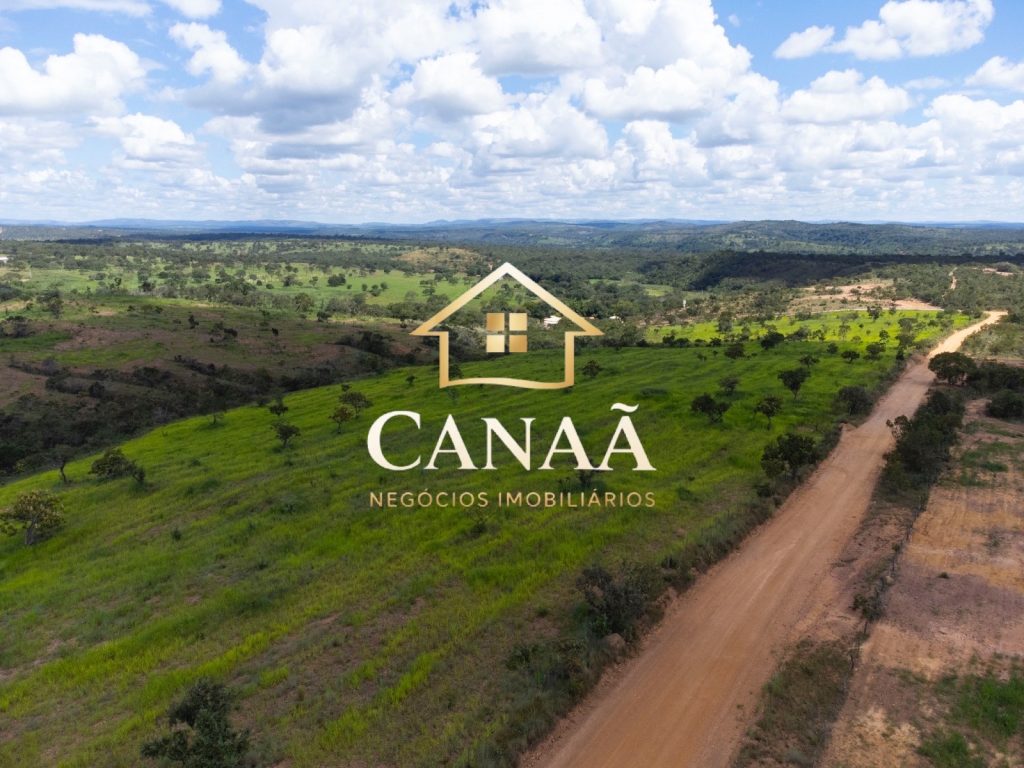 FAZENDA EM JEQUITIBÁ