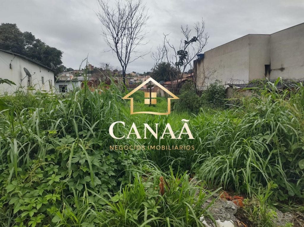 LOTE BAIRRO VISÃO