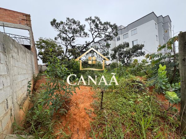 LOTE COMERCIAL BAIRRO RIVIERA