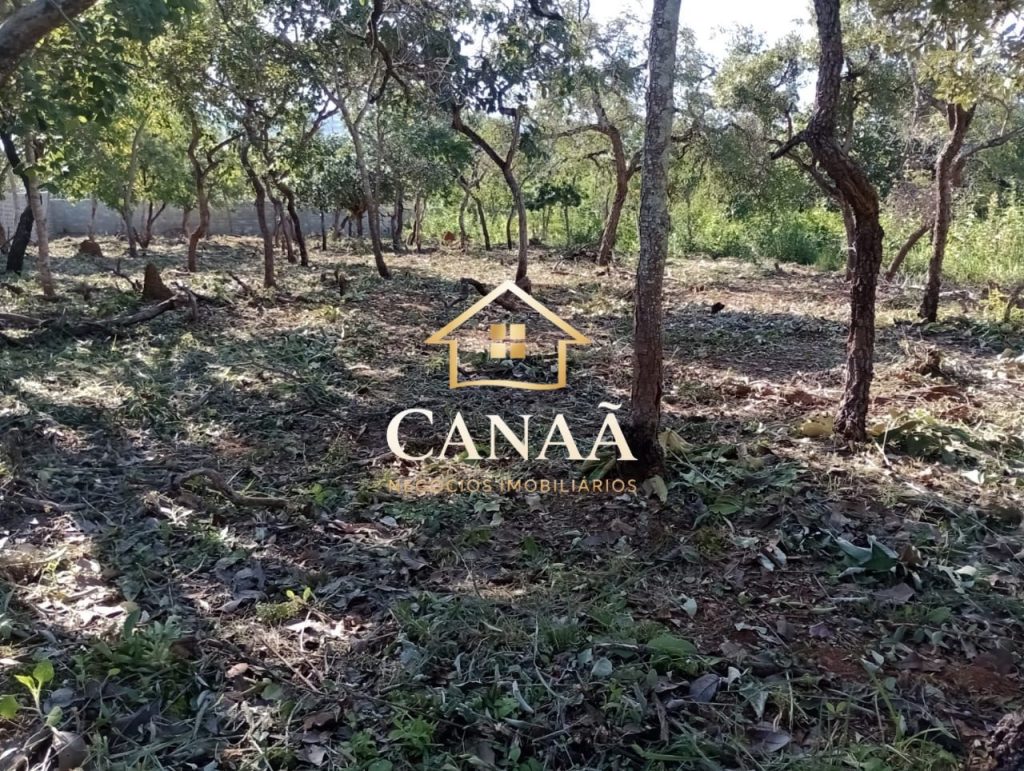 LOTE BAIRRO JOÁ