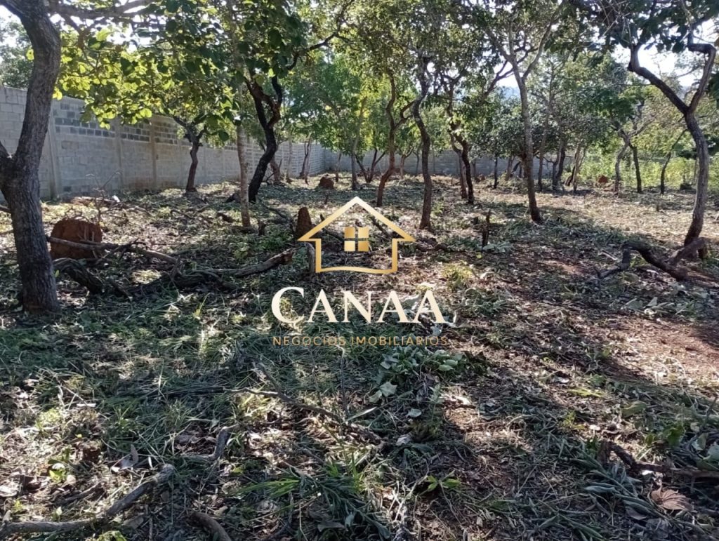 LOTE BAIRRO JOÁ