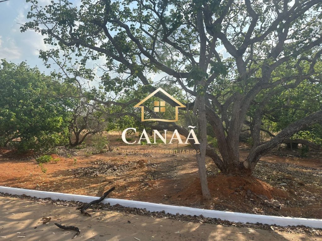 LOTE BAIRRO RECANTO DAS ARVORES