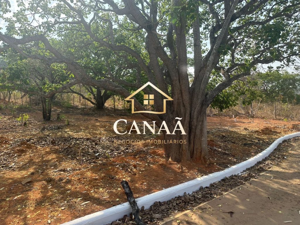 LOTE BAIRRO RECANTO DAS ARVORES
