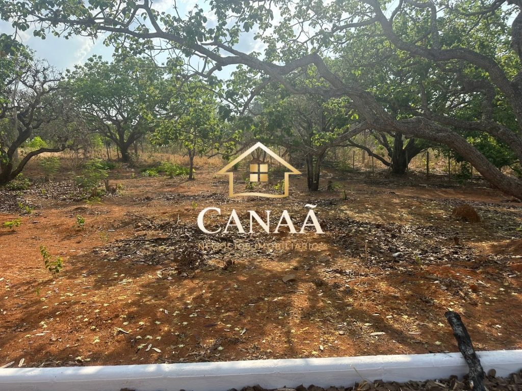 LOTE BAIRRO RECANTO DAS ARVORES