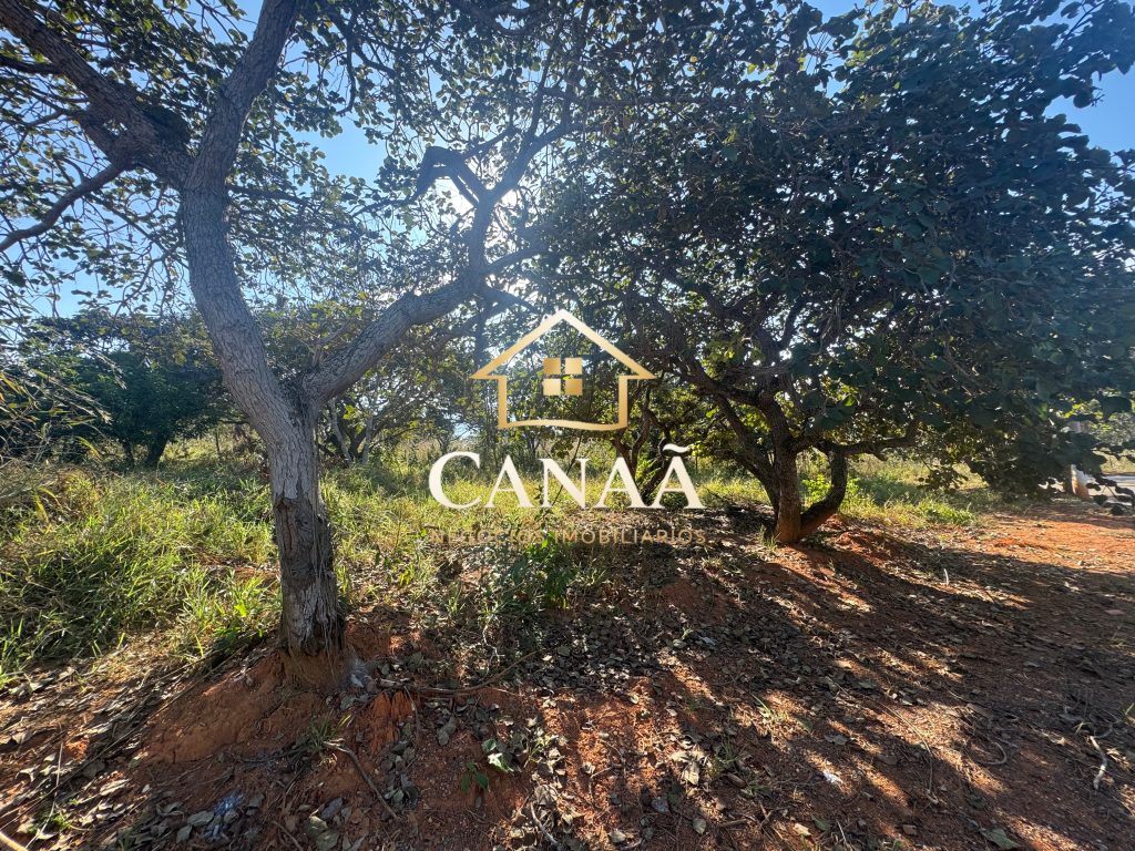 LOTE BAIRRO RECANTO DAS ARVORES
