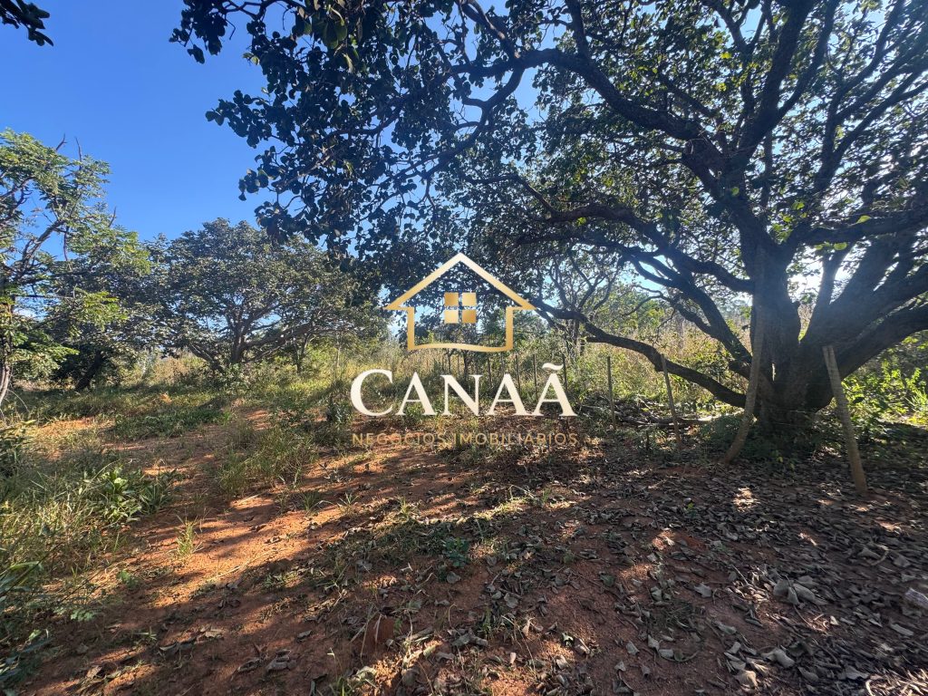 LOTE BAIRRO RECANTO DAS ARVORES