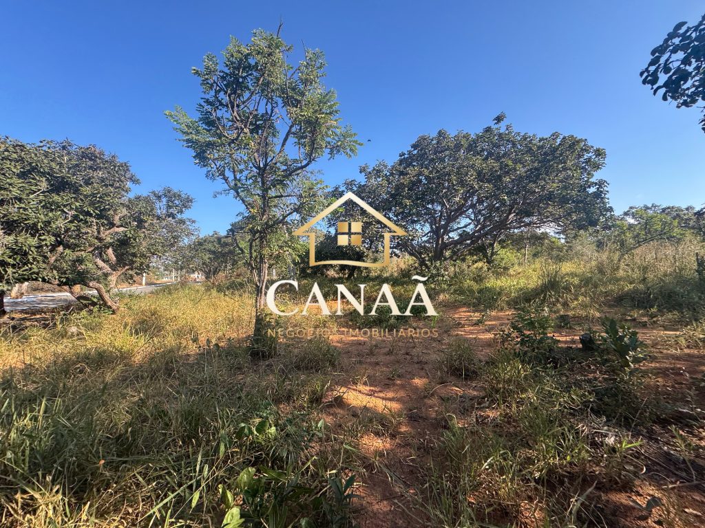 LOTE BAIRRO RECANTO DAS ARVORES