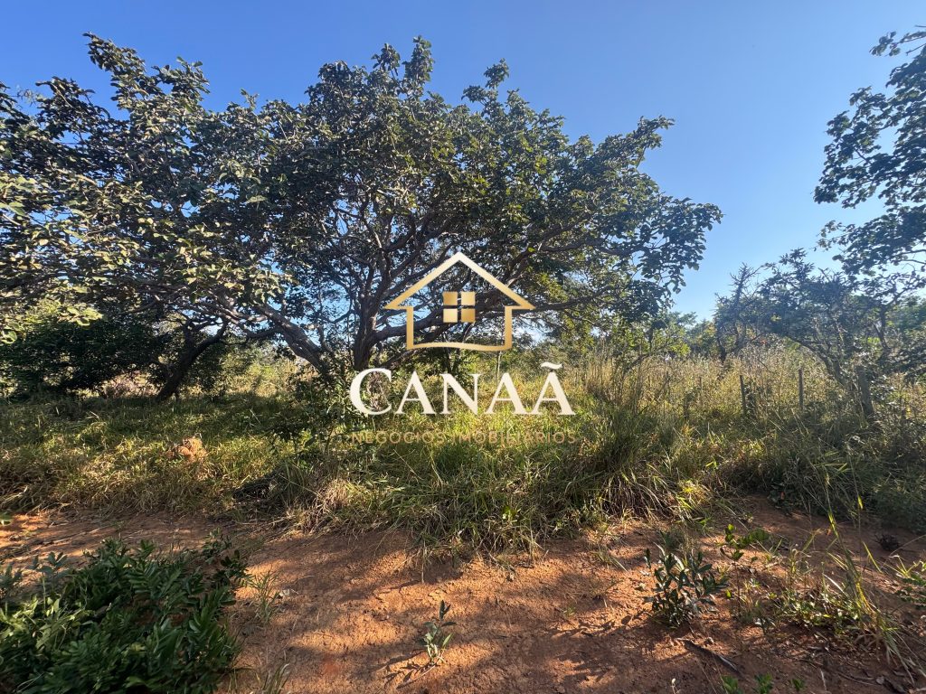 LOTE BAIRRO RECANTO DAS ARVORES