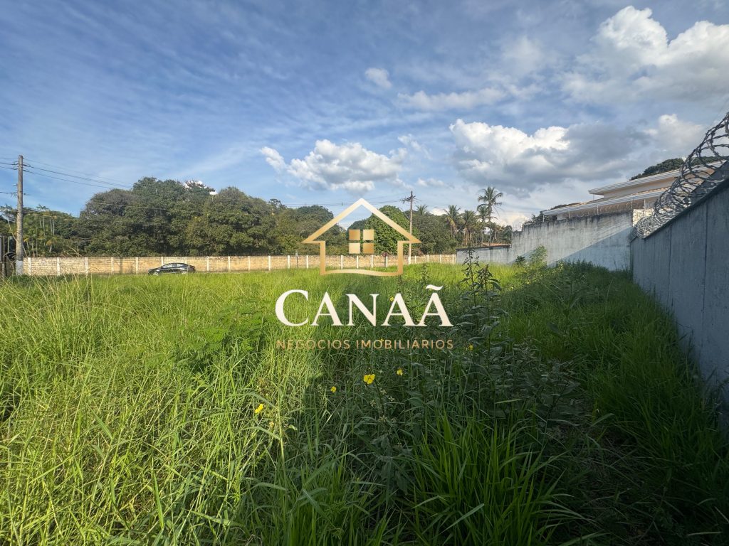 LOTE COMERCIAL ORLA DA LAGOA
