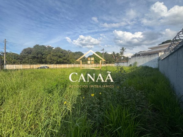 LOTE COMERCIAL ORLA DA LAGOA