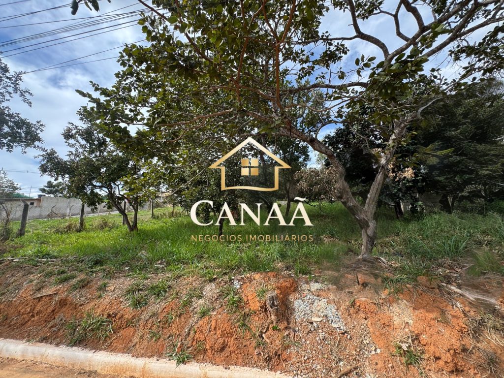 LOTE BAIRRO JOÁ