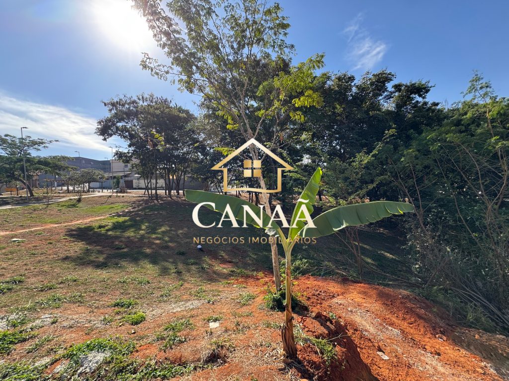 LOTE BAIRRO SANTA HELENA