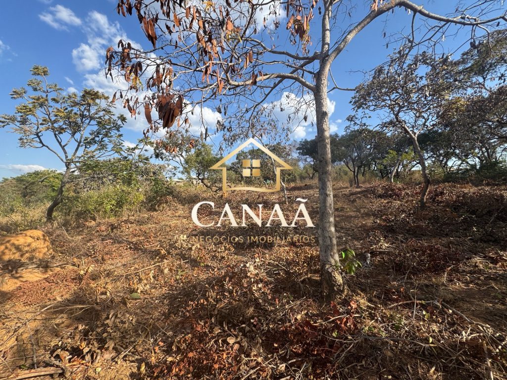 LOTE RECANTO DAS ARVORES