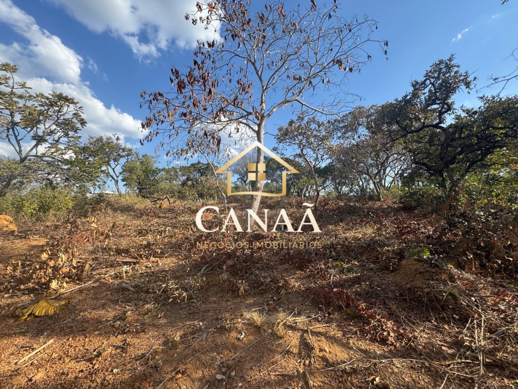 LOTE RECANTO DAS ARVORES