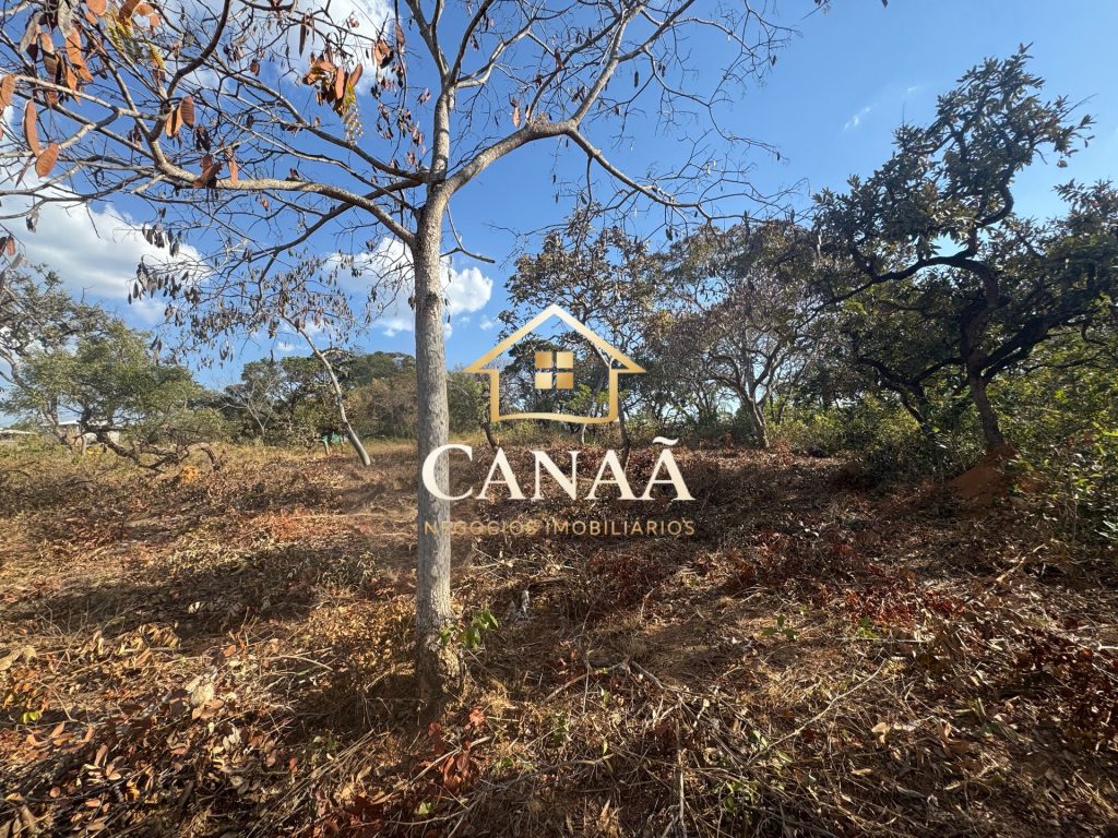 LOTE RECANTO DAS ARVORES