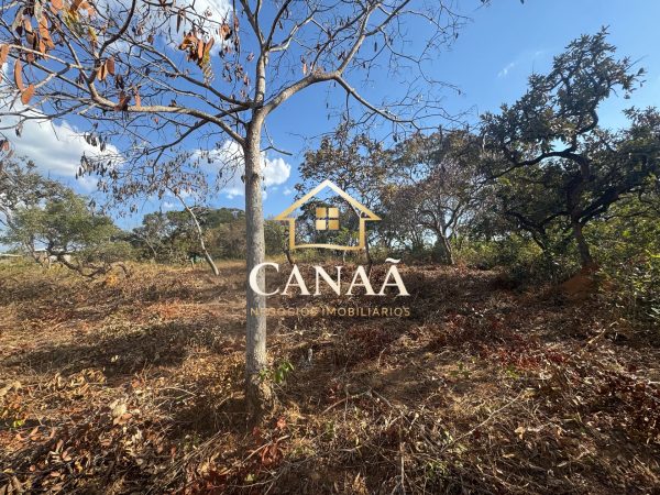 LOTE RECANTO DAS ARVORES