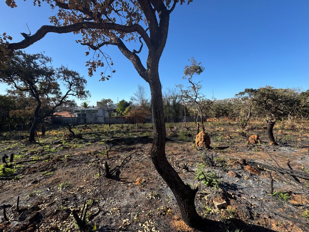 LOTE BAIRRO RECANTO DA LAGOA